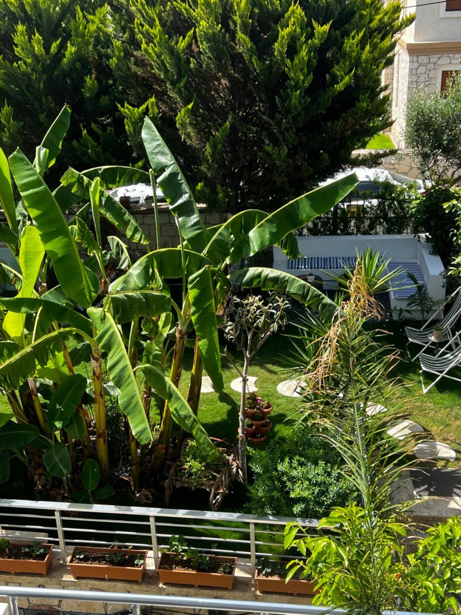 Luna Alaçatı Otel Extérieur photo